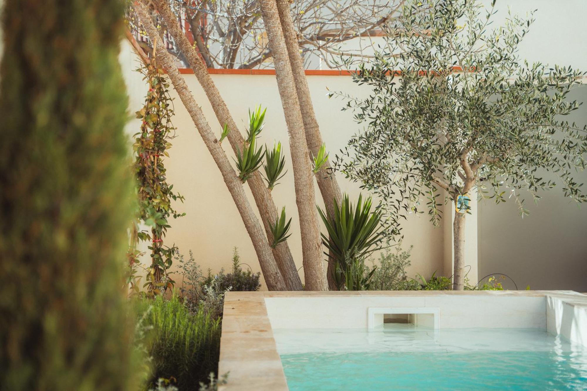 Maison Balas كانيه المظهر الخارجي الصورة